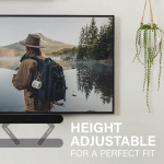 SANUS Soundbar Mount for Sonos Ray Black SANUS Soundbar Mount for Sonos Ray Black