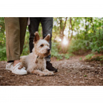 TICKLESS Tick Repellent ECOPET