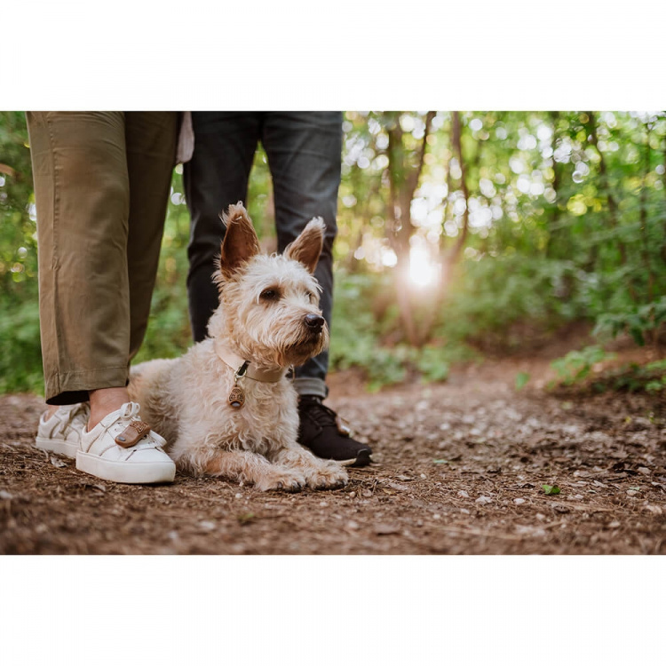TICKLESS Tick Repellent ECOPET