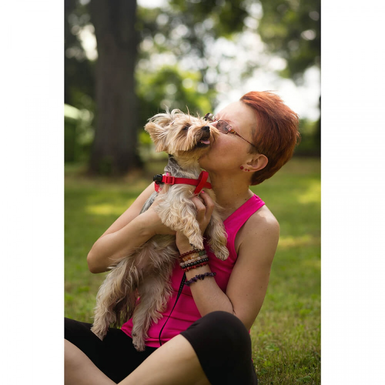 TICKLESS Tick Repellent Mini Dog Black