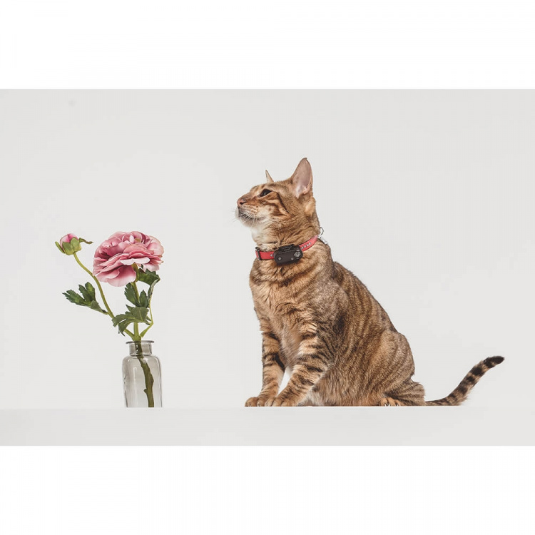 TICKLESS Tick Repellent Mini Cat Black