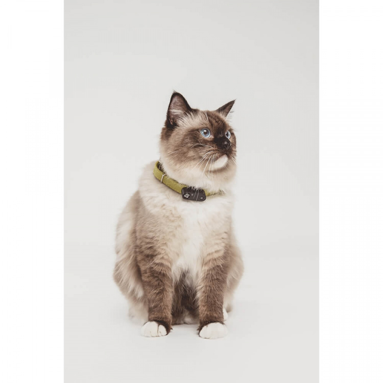 TICKLESS Tick Repellent Mini Cat Black