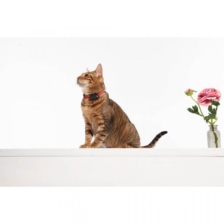 TICKLESS Tick Repellent Mini Cat Black