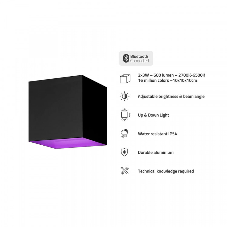 HOMBLI Outdoor Smart Light Wallmount RGB CCT Black