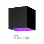 HOMBLI Outdoor Smart Light Wallmount RGB CCT Black