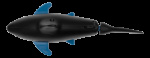 GADGETMONSTER R/C Shark