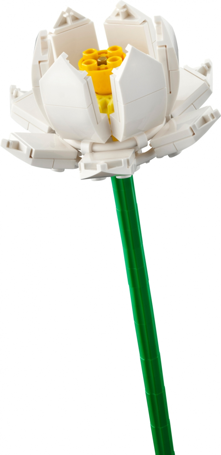 LEGO Botanical 40647 - Lootuskukat LEGO Botanical 40647 - Lootuskukat