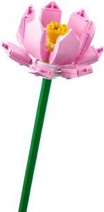 LEGO Botanical 40647 - Lootuskukat LEGO Botanical 40647 - Lootuskukat