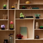 LEGO Botanical 10309 - Mehikasvit