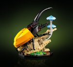 LEGO Ideas 21342 - Hyönteiskokoelma