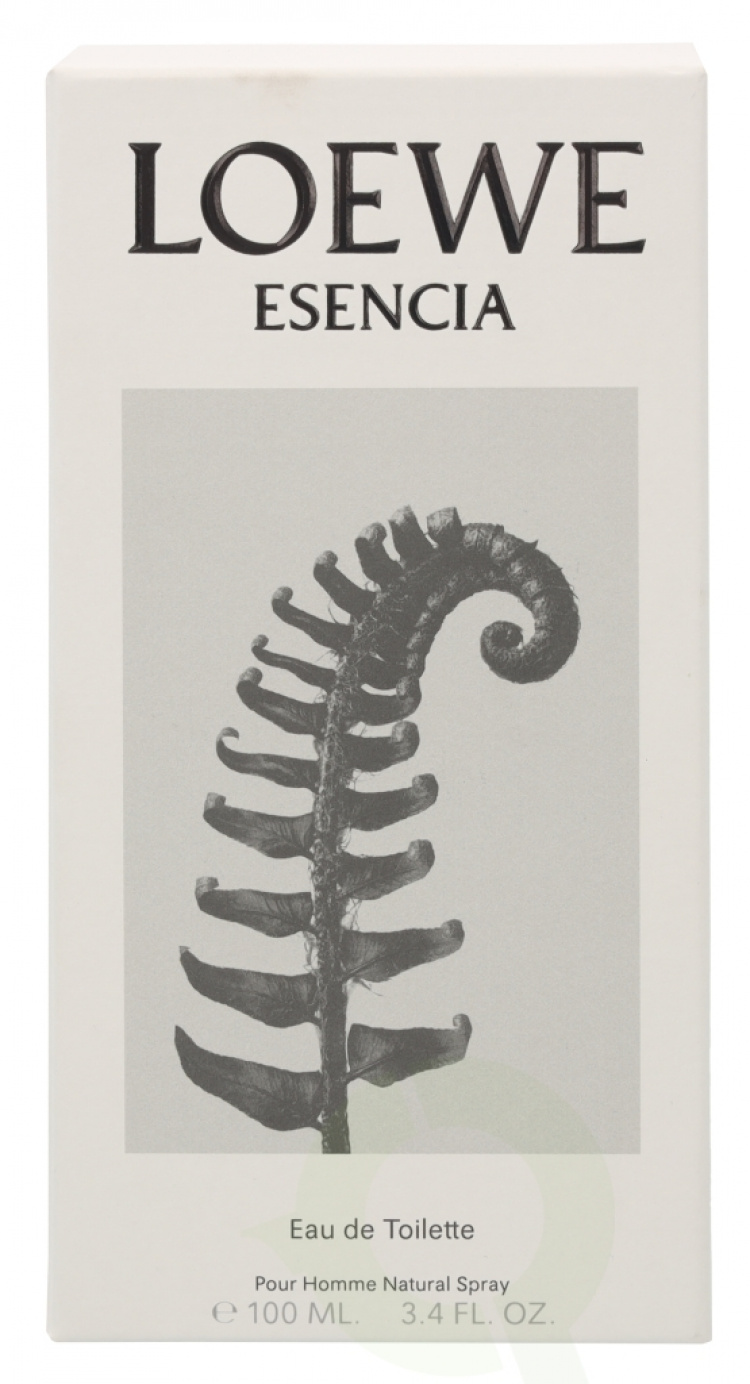 Loewe Esencia Pour Homme Edt Spray 100 ml