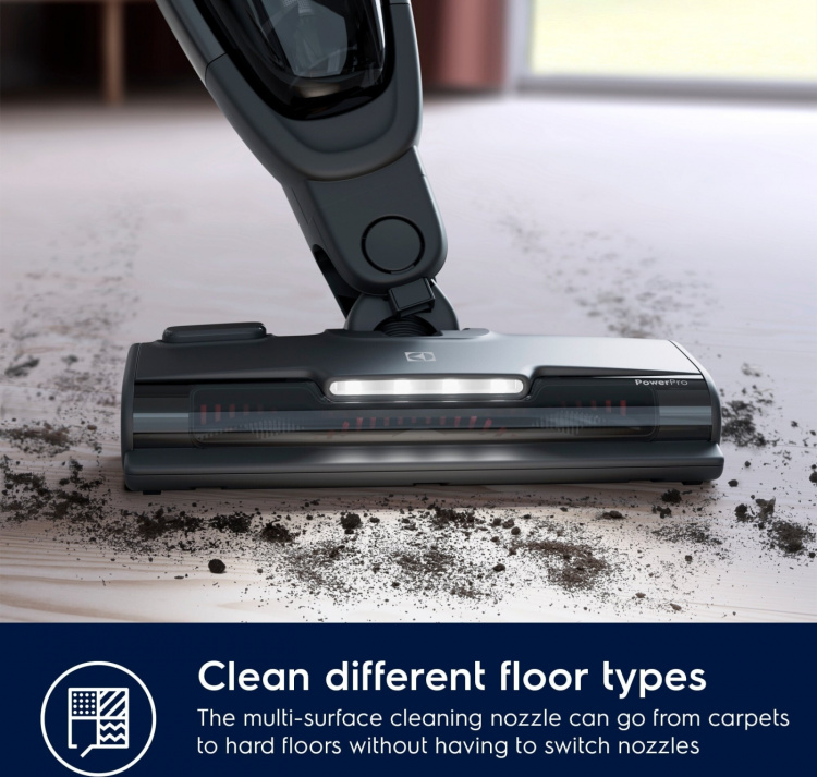 Electrolux Animal 600 ES62A252XN - varsi-imuri