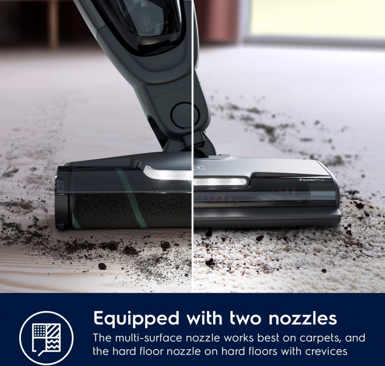 Electrolux Animal 600 ES62A252XN - varsi-imuri