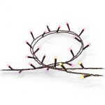 Philips Hue Festavia ljusslinga Inom-/utomhus 250 LED 20m