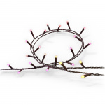 Philips Hue Festavia ljusslinga Inom-/utomhus 500 LED 40m