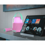 Mobility On Board e Kit Mic Rosa