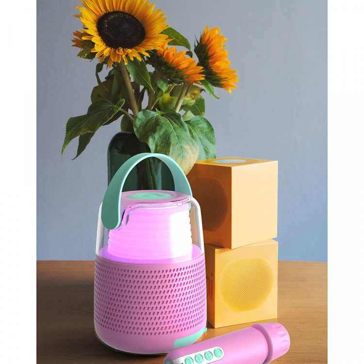 Mobility On Board e Kit Mic Rosa