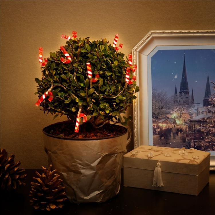 Goobay 10 LED-valoa Polka dots ajastintoiminnolla, lämmin valkoinen (3000 K), paristokäyttöinen Goobay 10 LED-valoa Polka dots ajastintoiminnolla, lämmin valkoinen (3000 K), paristokäyttöinen