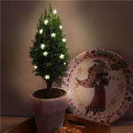 Goobay 20 LED ljusslinga med silvertråd 