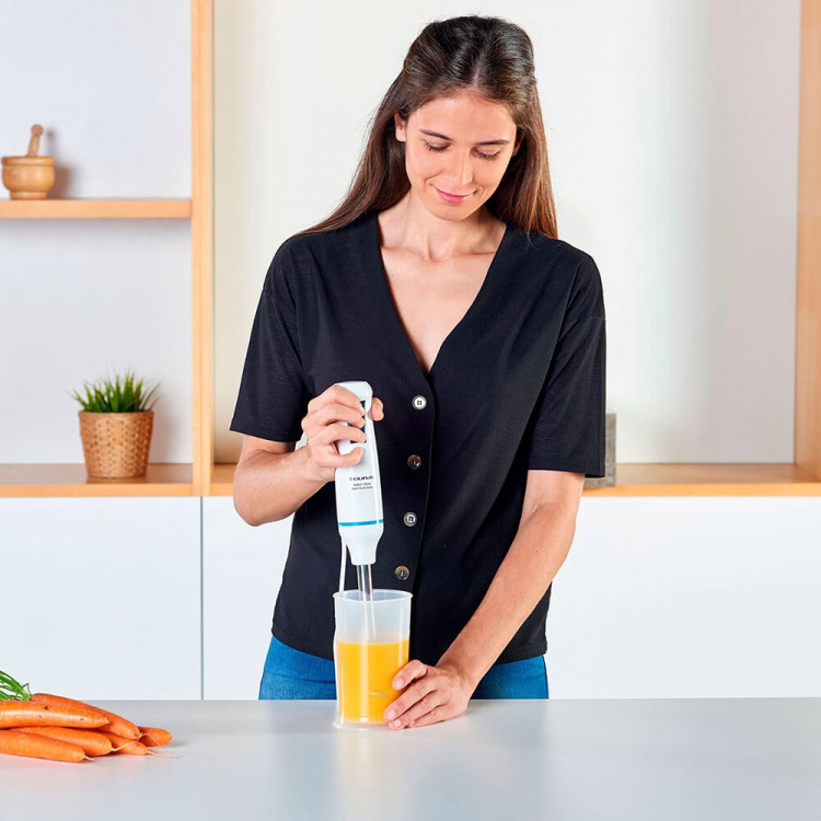 Taurus Hand Blender Set Robot 750 Easy Taurus Hand Blender Set Robot 750 Easy