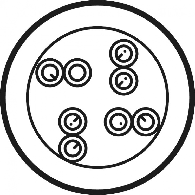 Goobay CAT 6 patchkabel, U/UTP, vit CCA kopparblandning för SOHO applikationer, AWG 23/1 (solid), PVC