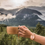 Aarni Vega -rannekello, saarni