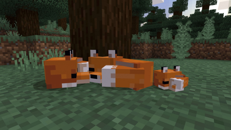 Sony PlayStation Minecraft - Starter Edition (PS4) Sony PlayStation Minecraft - Starter Edition (PS4)