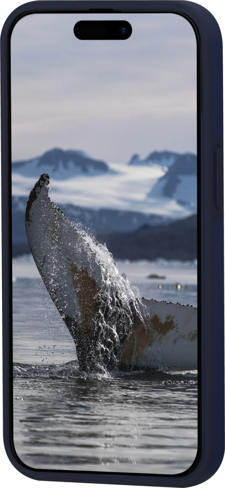 dbramante1928 dbramante Iceland Ultra D3O MagSafe -suojakotelo, iPhone 15, sininen