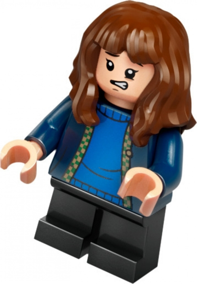 LEGO Harry Potter 76428 - Hagridin mökki: Odottamaton vierailu LEGO Harry Potter 76428 - Hagridin mökki: Odottamaton vierailu