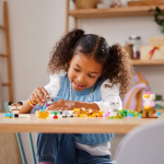 LEGO Classic 11034 - Luovat lemmikit