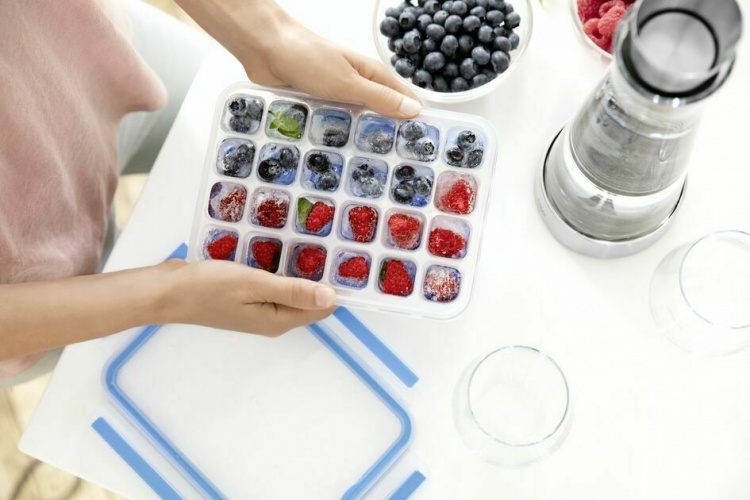 Tefal MasterSeal Fresh -jääpalarasia