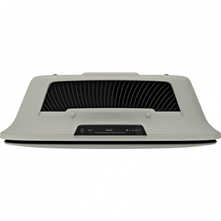 Electrolux Well A5 WA51-303GY -ilmanpuhdistin, harmaa