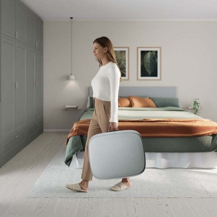 Electrolux Well A5 WA51-303GY -ilmanpuhdistin, harmaa