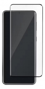 panzer Galaxy S21 Ultra Curved Glass black