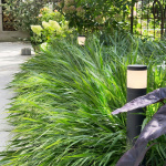 LightsOn Polly Pollare 38cm 350lm 3000K 5W Antracit LightsOn Polly Pollare 38cm 350lm 3000K 5W Antracit