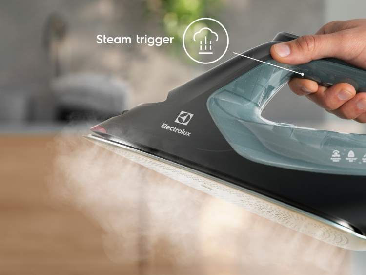 Electrolux Renew 800 E8SI2-6OG silitysrauta