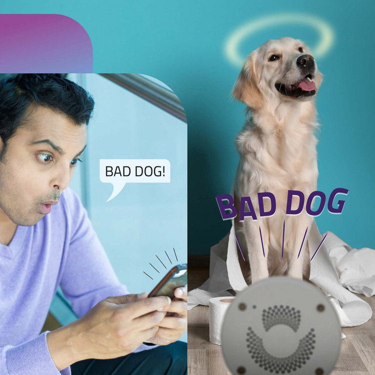 Alecto Smart Wi-Fi -kameran IP-kamera, joka sopii kodin automaatioon