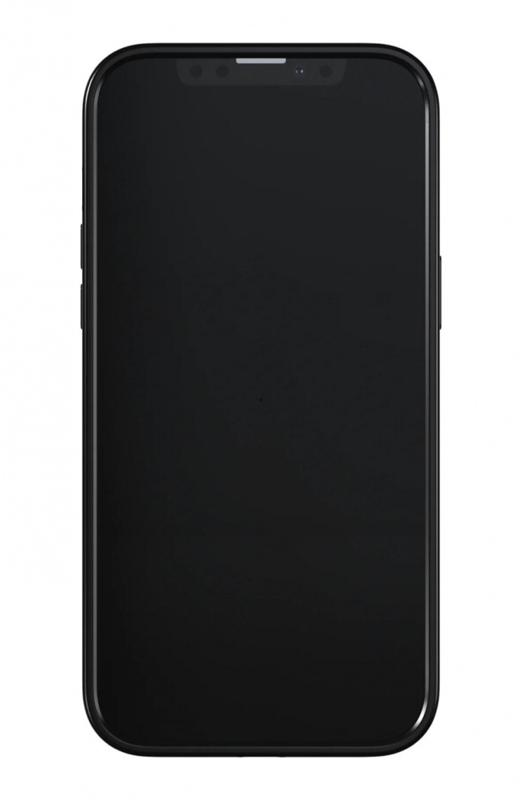 Richmond & Finch iPhone 13 Pro Max Freedom kotelo, Emerald Zebra