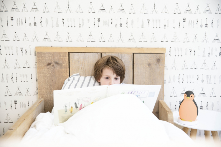 Zazu Pam -unirytmiä opettava musiikkiyövalo, pingviini, harmaa