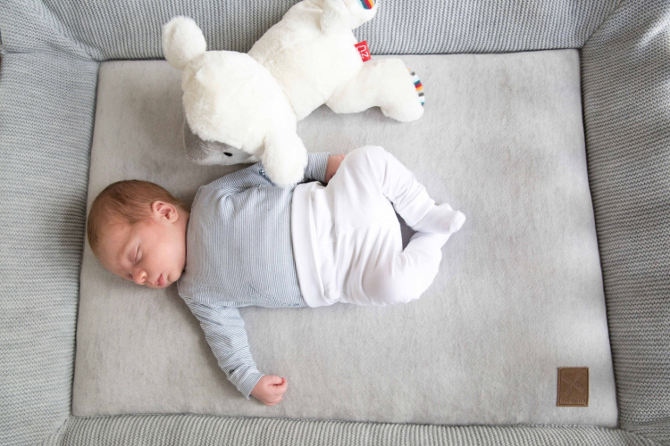 Zazu Lizzy the Lamb -pehmolelu, musiikki Zazu Lizzy the Lamb -pehmolelu, musiikki