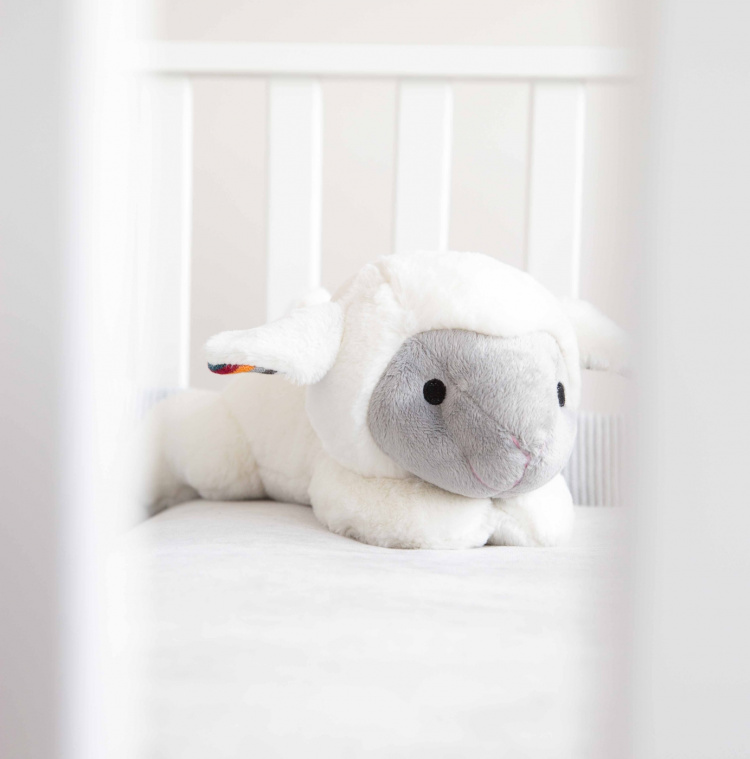 Zazu Lizzy the Lamb -pehmolelu, musiikki Zazu Lizzy the Lamb -pehmolelu, musiikki