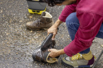Kärcher OC 3 tarkkuusharja