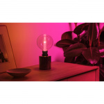 Philips Hue Lightguide Globe Large 125mm E27 White and Color Ambiance