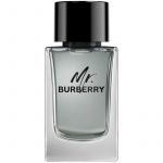 Burberry Mr Burberry Edt 100ml