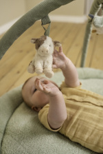 Little Dutch Little Farm -leikkimatto kaarilla, vihreä