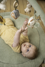 Little Dutch Little Farm -leikkimatto kaarilla, vihreä