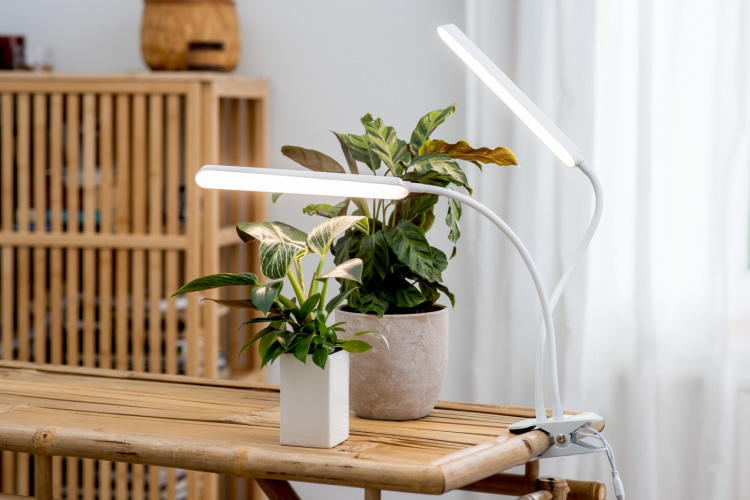 Airam Tulip -kasvivalaisin, 16W/840, 780 lm, valkoinen