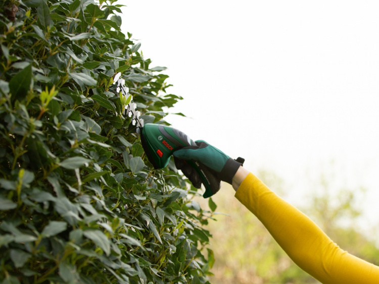 Bosch ISIO III -monitoimitrimmeri pensasterällä