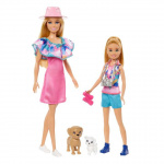 Barbie Stacie & Barbie Nukkesetti ja 2 lemmikkiä (HRM09)