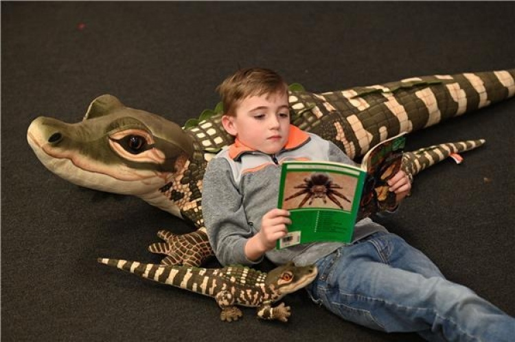 Wild Republic Jumbo Alligaattori 175 cm Wild Republic Jumbo Alligaattori 175 cm